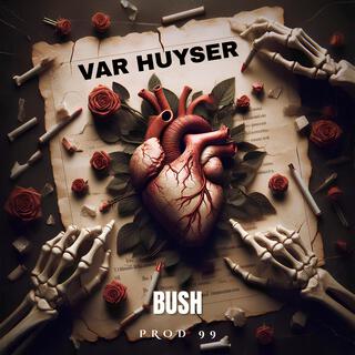 Var huyser