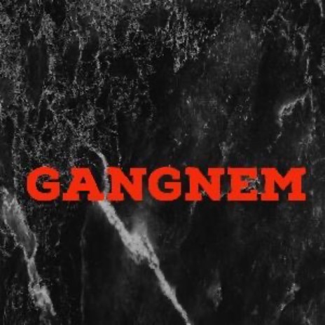 GANGNEM | Boomplay Music