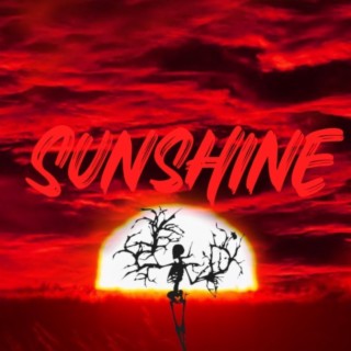 SUNSHINE (TRADUÇÃO) - Cat Dealers 