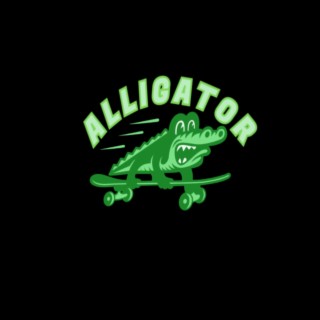 Alligator