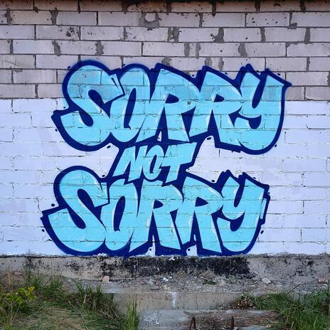 Sorry Not Sorry (Live) ft. Christian Strutz | Boomplay Music