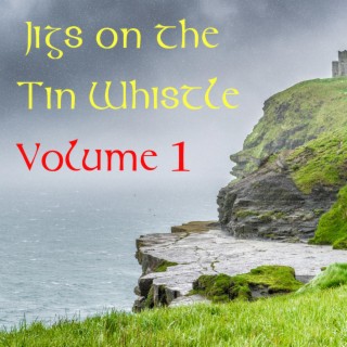 Jigs on the Tin Whistle: Volume 1