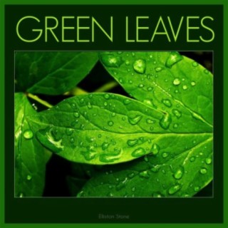 GREEN LEAVES