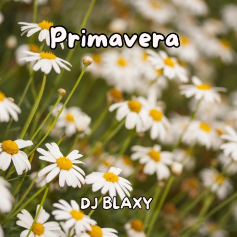 Primavera