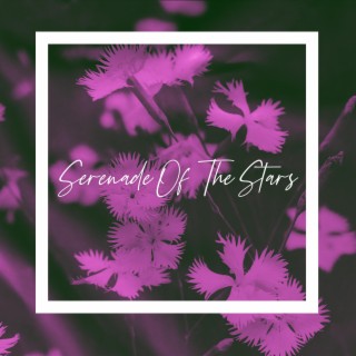 Serenade Of The Stars