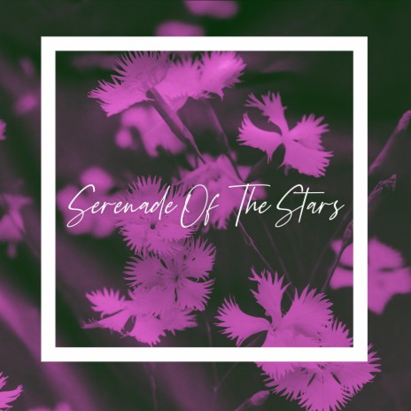 Serenade Of The Stars ft. Floating Animal | Boomplay Music