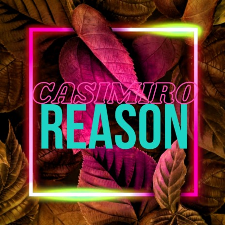 Reason (Special Version) ft. Skyrick | Boomplay Music