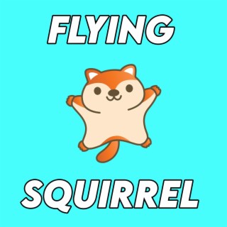 Flying Squirrel