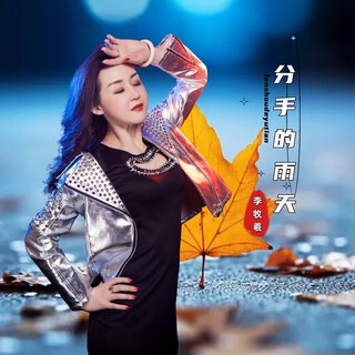 分手的雨天 lyrics | Boomplay Music