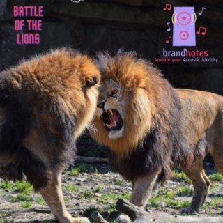 Battle of the Lions