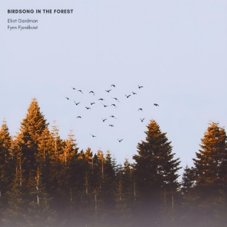 Birdsong in the Forest