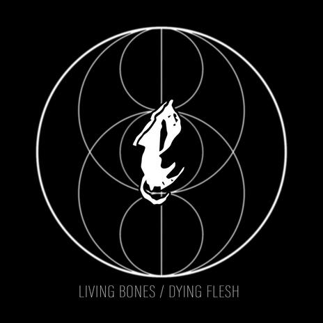 Living Bones / Dying Flesh | Boomplay Music