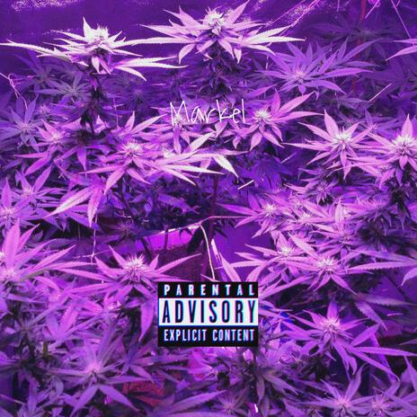 Purple Indica | Boomplay Music