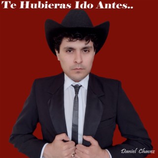 Te hubieras ido antes