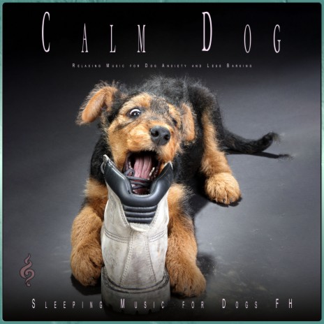 Dog Sleeping Music ft. Dog Music & Calming Music For Dogs