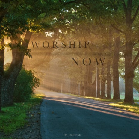 Worship Now | Boomplay Music