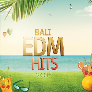 Bali EDM Hits 2015