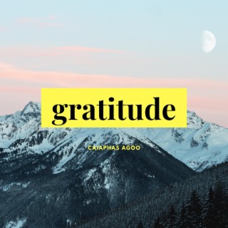 Gratitude