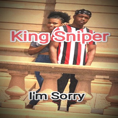 I'm Sorry | Boomplay Music