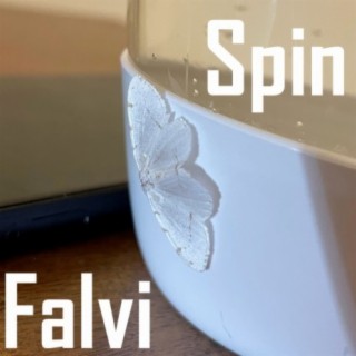 Spin