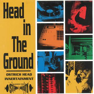 Head in the Ground