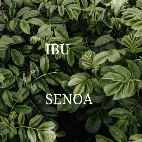 Ibu ft. Bayu seno asis | Boomplay Music