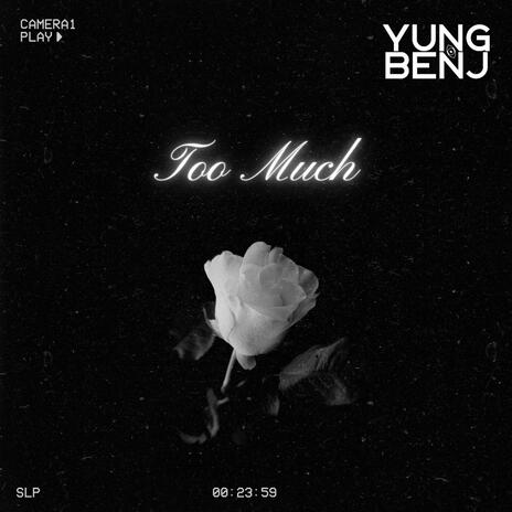 Too much | Boomplay Music