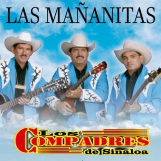 Los Compadres De Sinaloa