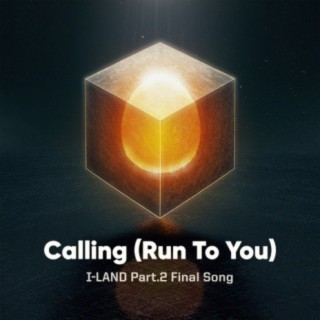 Calling (Run To You) lyrics | Boomplay Music