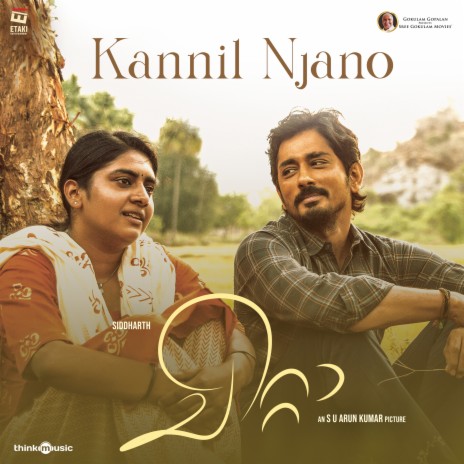 Kannil Njano (From Chitta) ft. Chinmayi, Haricharan & Joe Paul | Boomplay Music