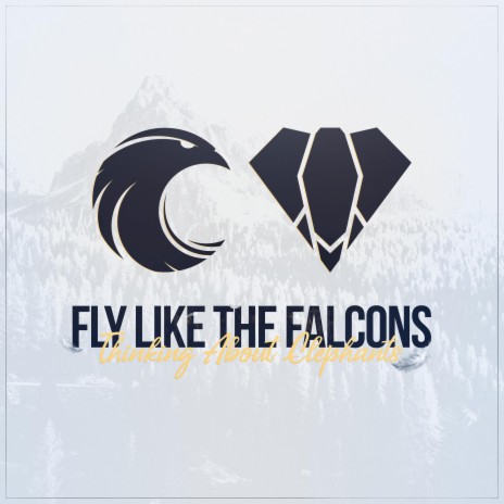 Fly Like The Falcons | Boomplay Music