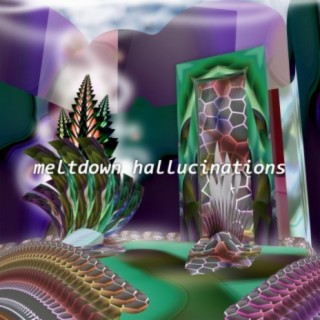 Meltdown Hallucinations