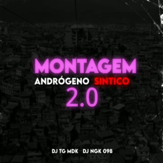 MONTAGEM ANDROGENO SINTICO 2.0