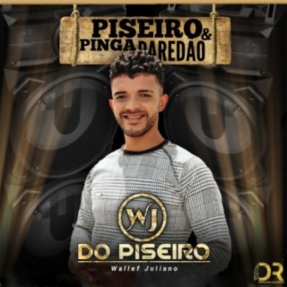 Piseiro, Pinga & Paredão