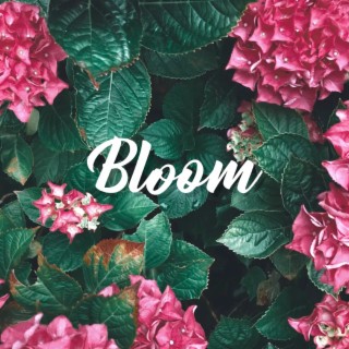 Bloom