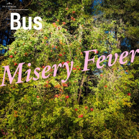 Misery Fever | Boomplay Music