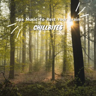 Spa Music To Rest Your Brain