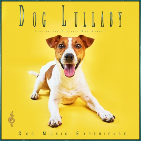 Calm Canine Lullabies | Boomplay Music