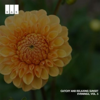 Catchy and Relaxing Sunset Evenings, Vol. 5