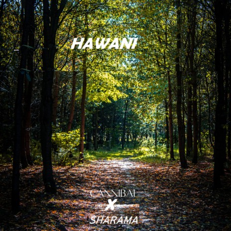 Hawani (Hiphop) ft. Sharama | Boomplay Music