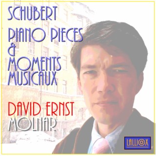Schubert Piano Pieces & Moments Musicaux