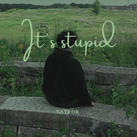 Its stupid | Boomplay Music