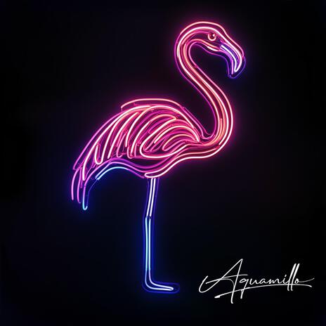 Flamingo - Instrumental (Reimagined) | Boomplay Music