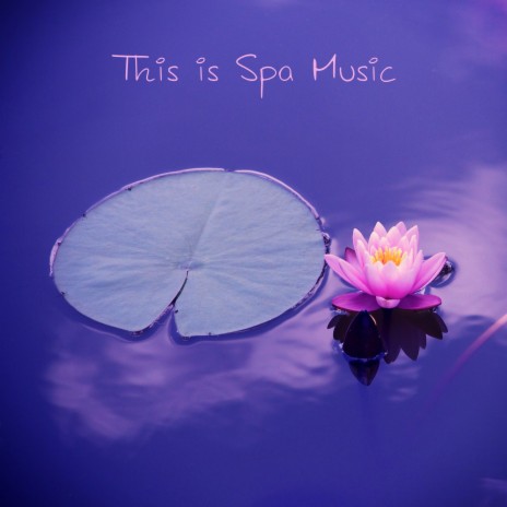 Cosmic Delights ft. Spa Music Relaxation Meditation & Asian Zen Spa Music Meditation | Boomplay Music