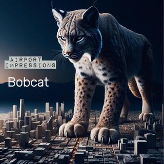 Bobcat