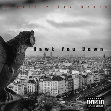 Hawk You Down (Instrumental)