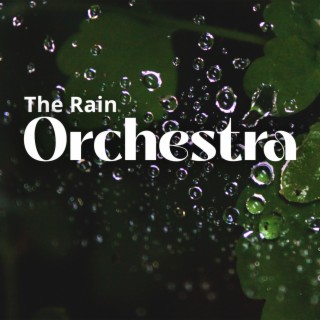 The Rain Orchestra: Sublime Rain Sounds to Let Your Brain to Slack Off & Have a Deep Unstopped Sleep