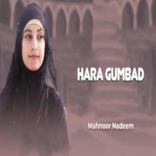Mahnoor Nadeem