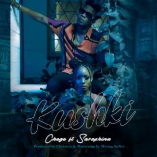Kushki ft. Saraphina lyrics | Boomplay Music
