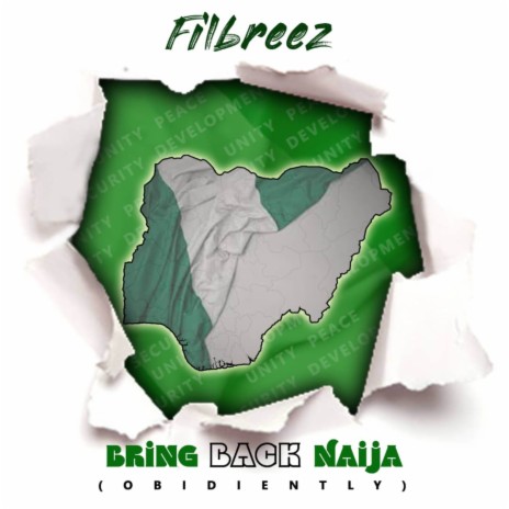 Bring Back Naija | Boomplay Music